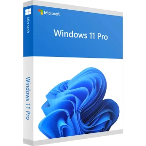 Paquete de windows 11 pro, en su versión digital